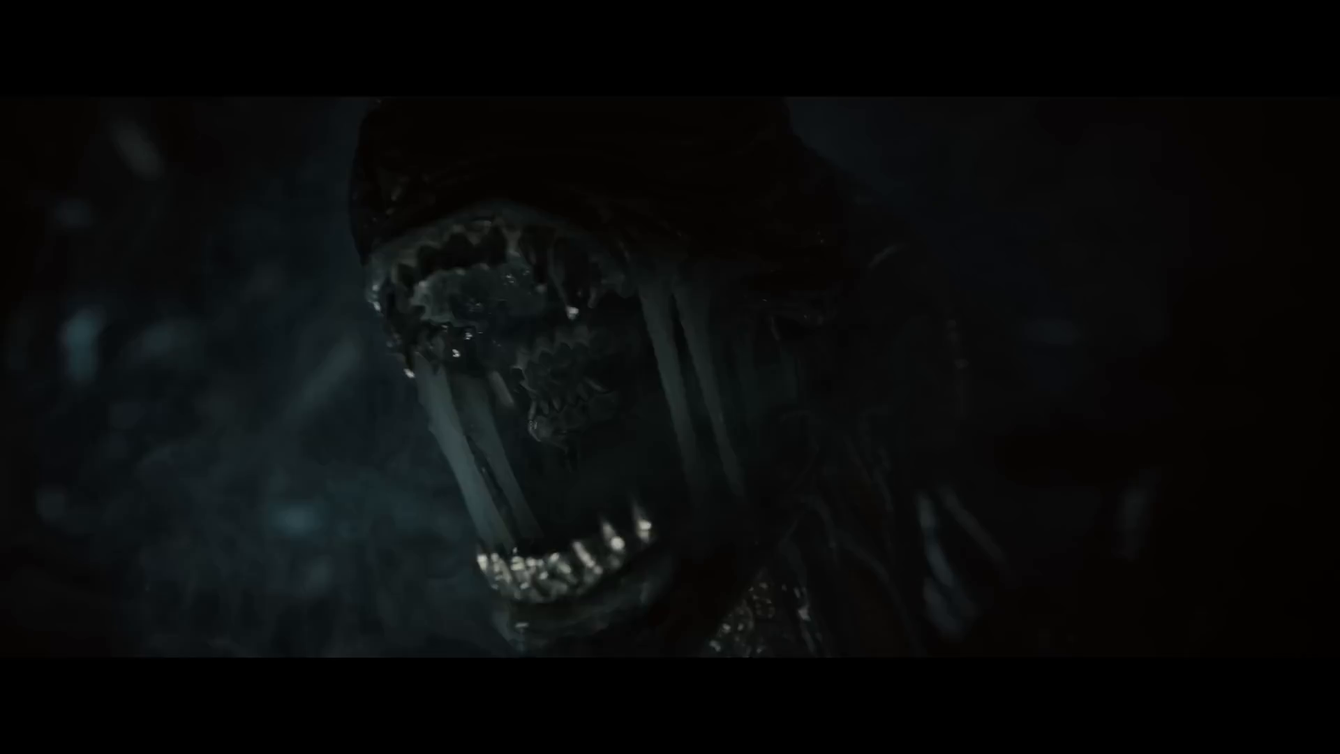 Bạn có thể xem Alien: Romulus từ sự thoải mái như ở nhà vào tháng Mười này